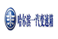 Hachi logo