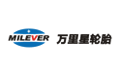 Wanli Star logo