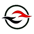 Ruizhan logo