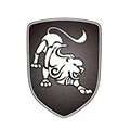 Dongfeng logo