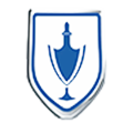 Jinbei New Energy logo