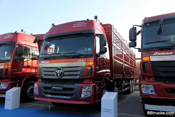 Foton AumanETX Série 5 poids lourd 290 ch 8X4(12 roues) 9,5 m camion porteur à ridelles Extérieur (2) | 86Trucks