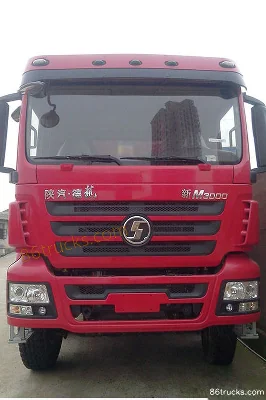 SHACMAN Delong M3000 290hp 8X4(12 wheels) 7.4m Dump Truck Exterior (3) | 86Trucks