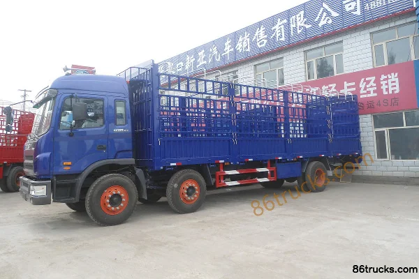 JAC Gallop A3 220 hp 6X2(8 wheels) Cage Cargo Truck Exterior (3) | 86Trucks