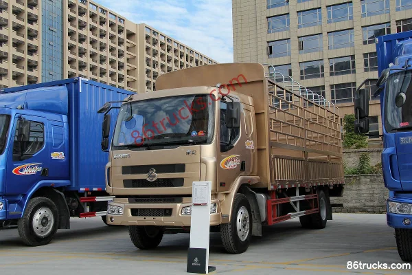 Dongfeng Liuqi Chenglong M3 camion moyen 170 ch 4X2(6 roues) camion porteur à grille 6,75 m Extérieur (3) | 86Trucks