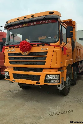 SHACMAN Delong F3000 375hp 8X4(12 wheels) 8m Dump Truck (Mining Enhanced) Exterior (2) | 86Trucks