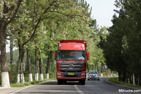 Foton AumanGTL 6 Series Heavy Truck 400 hp 8X4(12 wheels) 9.53m Livestock Carrier Exterior (2) | 86Trucks