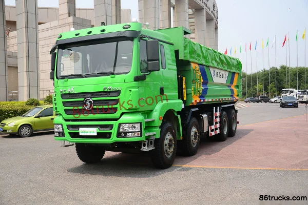 SHACMAN Delong New M3000 Composite Version 336 hp 8X4(12 wheels) Dump Truck Chassis Exterior (3) | 86Trucks