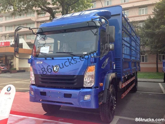 Sinotruk Wangpai 7 Series Medium Truck 180 hp 4X2(6 wheels) 5.8m Stake Truck Exterior (2) | 86Trucks