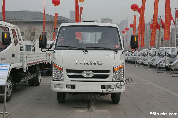 Tangjun Tangjun Ouguan Light Truck Cargo Trucks