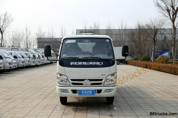 Foton Times petit camion étoile 68 ch 4X2(6 roues) plateau ridelles double cabine 3,02 m micro camion Extérieur (2) | 86Trucks