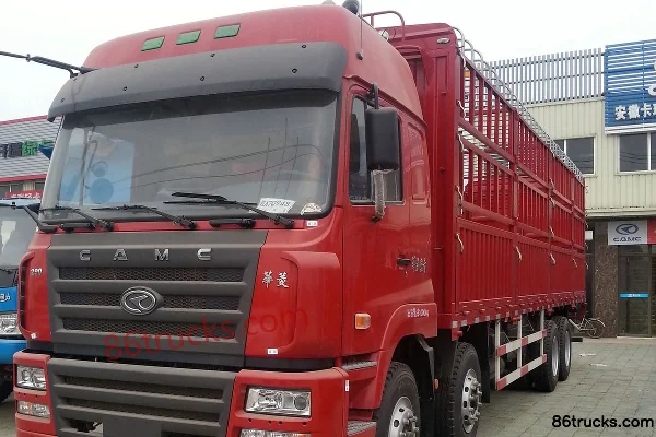 Hualing heavy truck 290hp 8X4(12 wheels) cage cargo truck Exterior (2) | 86Trucks