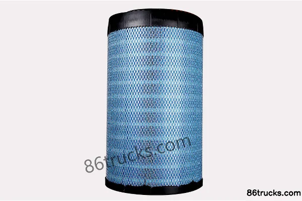 Wuxi Donaldson X011896 Air Filter for Dongfeng Tianlong (with dCi Engine) Models Exterior