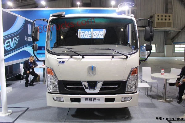 FARIZON FARIZON Light Truck Cargo Trucks