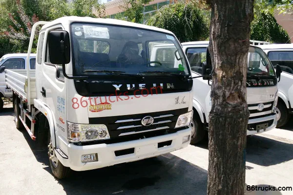 Yuejin Yuejin Shuaihu H Light Truck Cargo Trucks