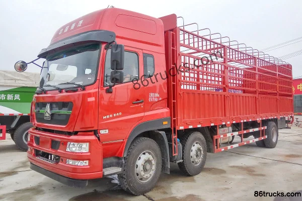 Sinotruk Steyr DM5G camion lourd 280 ch 6X2(8 roues) camion porteur à grille 9,6 m Extérieur (2) | 86Trucks