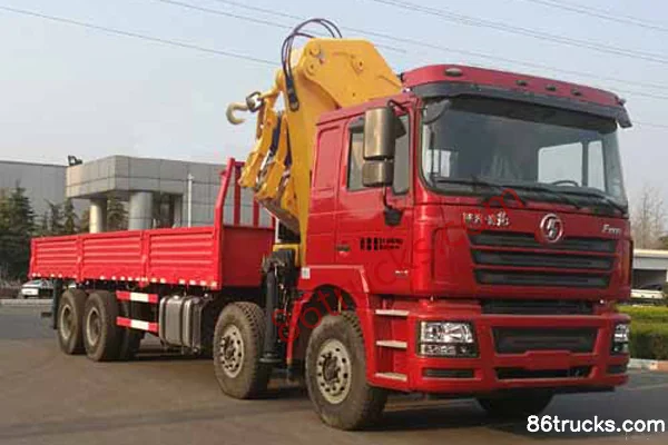 SHACMAN Delong F3000 336 hp 8X4(12 wheels) Truck Mounted Crane (XCMG brand) Exterior