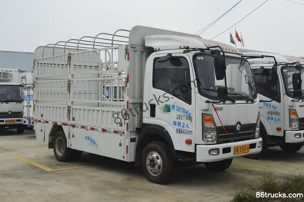 Chengdu Yajun Sinotruk Wangpai Chassis 7.1T 4.15m Single Row Pure Electric Cargo Box Light Truck 75.3kWh 4X2(6 wheels) E