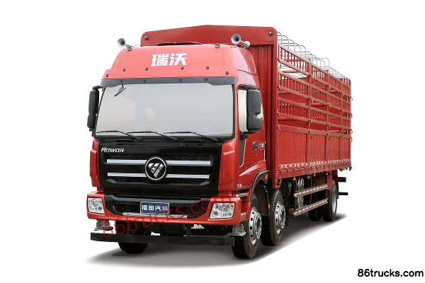 Foton Ruiwo Q9 240 hp 6X2(8 wheels) 9.5m Cargo Truck with Grain Carrier Body Exterior (3) | 86Trucks