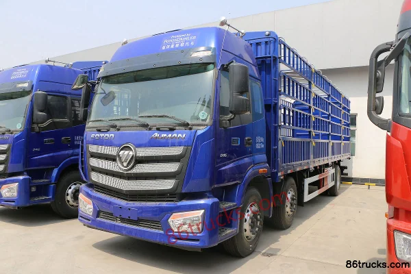 Foton Auman New ETX 6 Series Heavy Truck 270hp 6X2(8 wheels) 7.8m Stake Truck (459 Rear Axle) Exterior (3) | 86Trucks