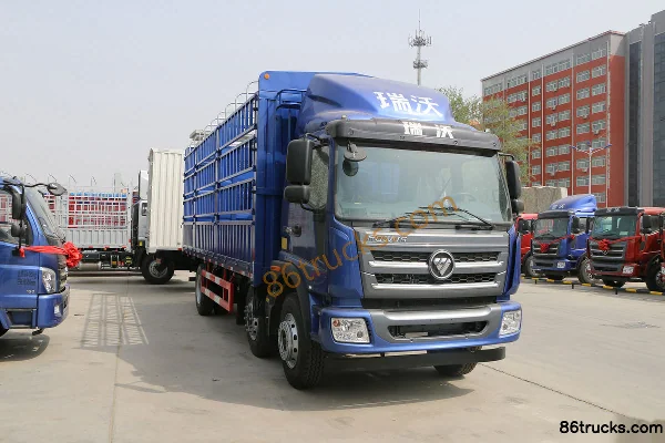 Foton Ruifu Q9 240 hp 6X2(8 wheels) 9.5m flatbed cargo truck (457 rear axle) Exterior
