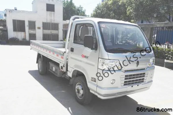 Shenyang Jinbei Shenyang Jinbei Lingshun mini truck electric cargo truck