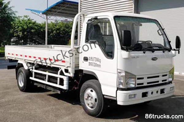 Qingling Isuzu Qingling Isuzu EV100 Light Truck electric cargo truck