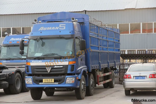 Foton AumanCTX 5 série 185ch 6X2(8 roues) 8.6m camion porteur à ridelles (cabine plate) Extérieur (2) | 86Trucks