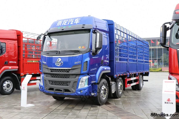 Dongfeng Liuqi Chenglong H5 Medium Truck 290 hp 6X2(8 wheels) 7.8m Cargo Truck with Grille Exterior (3) | 86Trucks