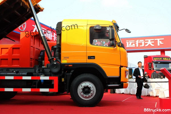 Dayun 310 hp 6X4(10 wheels) 5.6m Dump Truck (Flat Top) Body (3) | 86Trucks