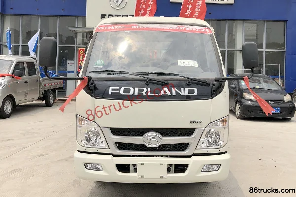 Foton Times Small Card Star 2 100hp 4X2(6 wheels) 3.02m Double Row Flatbed Mini Truck Exterior (2) | 86Trucks