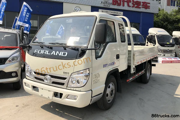 Foton Times Xiaoka Star 3 88 hp 4X2(6 wheels) 3.25m Half Row Flatbed Micro Truck Exterior (3) | 86Trucks