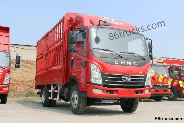 Hyundai Commercial Vehicle Zhidao 300 Light Truck Cargo Trucks