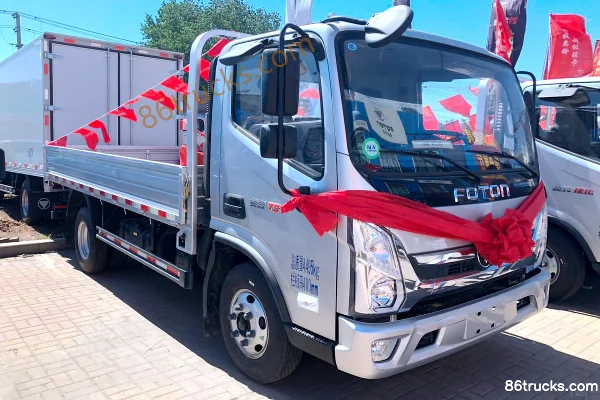 Foton Foton TS Light Truck Cargo Trucks