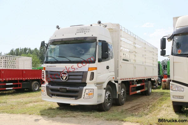 Foton AumanETX 5 Series Heavy Truck 245 hp 6X2(8 wheels) 8m Stake Cargo Truck (440 rear axle) Exterior (3) | 86Trucks