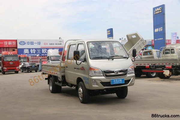 Heibao Auto BAIC Heibao H3 Cargo Trucks