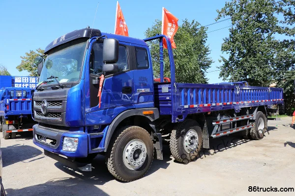 Foton Ruivo Medium Truck 240hp 6X2(8 wheels) 9.5m Flatbed Cargo Truck Exterior (3) | 86Trucks