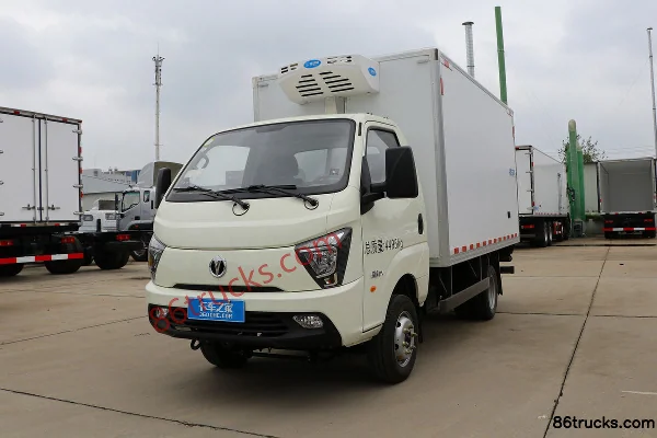 Feidi Ditu DX Mini Truck Refrigerated Truck