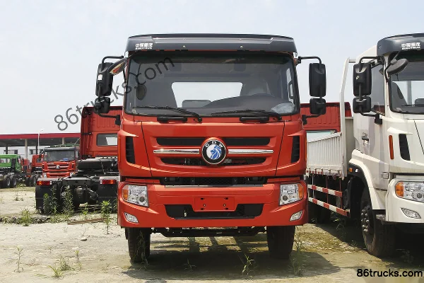 Sinotruk Sinotruk Wangpai W5D near-heavy truck concrete mixer truck