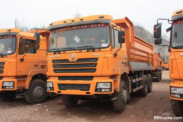 SHACMAN Delong F3000 Heavy Truck 310 hp 6X4(10 wheels) 5.6m Dump Truck (Medium Long Flat Top) Exterior (2) | 86Trucks