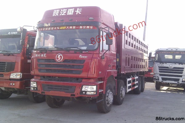 SHACMAN Delong F3000 Heavy Truck 336 hp 8X4(12 wheels) 8m Dump Truck Exterior (2) | 86Trucks