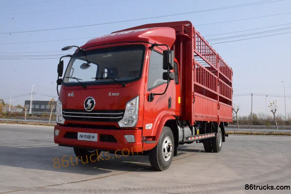 SHACMAN Light Truck Delong K3000 160hp 4X2(6 wheels) 4.85m Half-row Rack Van Light Truck Exterior (3) | 86Trucks