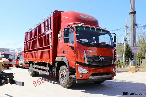 Foton Ruowo ES5 220hp 4X2(6 wheels) 6.2m Stake Truck (China VI) Exterior