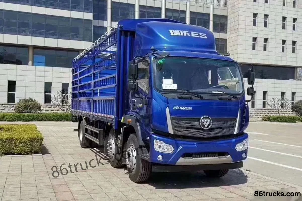 Foton Foton ES5 Medium Truck Cargo Trucks