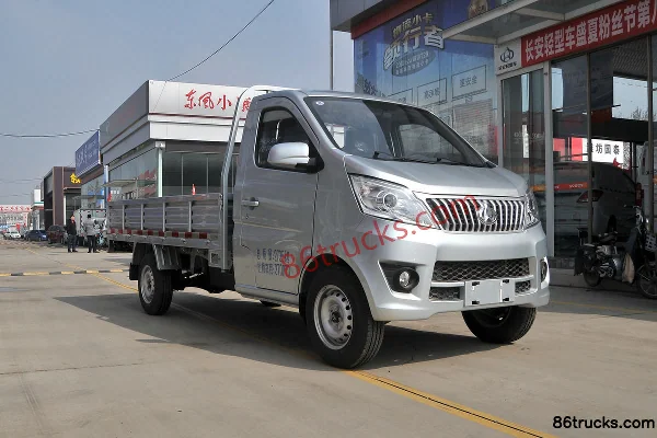 Ankai Ankai Shenqi T10 Mini Truck Cargo Trucks