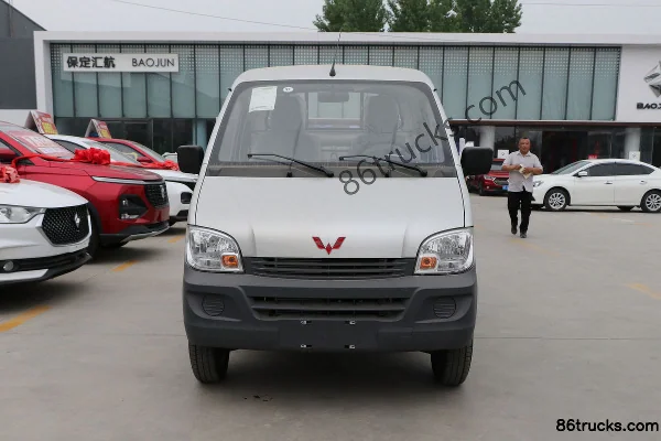 Wuling Zhiguang 1.2L 82hp 4X2(6 wheels) Gasoline 2.501m Single Row Small Truck Exterior (2) | 86Trucks