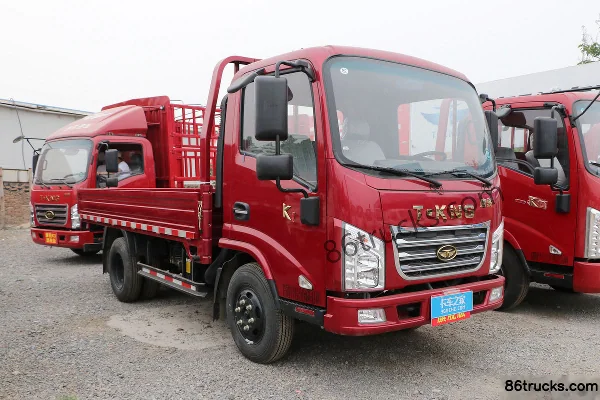 Tangjun Tangjun K1 Light Truck Cargo Trucks