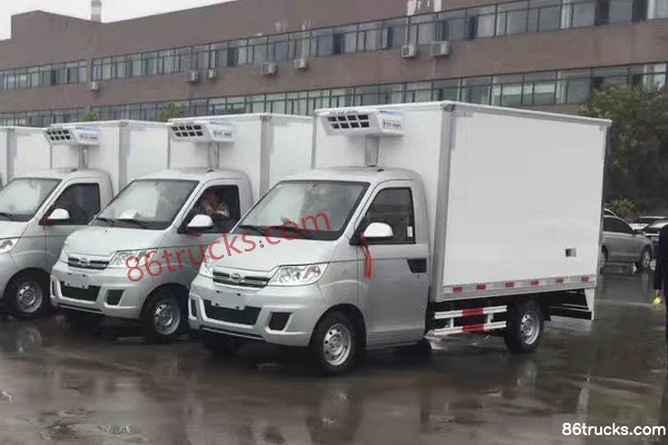 Chengliwei Chengliwei Karry Green Card chassis Refrigerated Truck