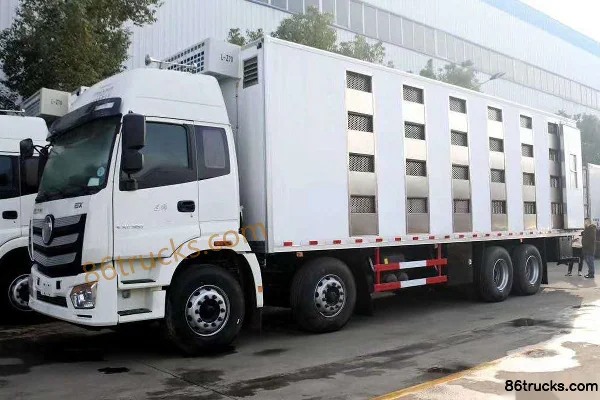 Foton Auman New ETX 360 hp 8X4(12 wheels) Chick Transport Truck (Chengliwei Brand) Exterior (3) | 86Trucks