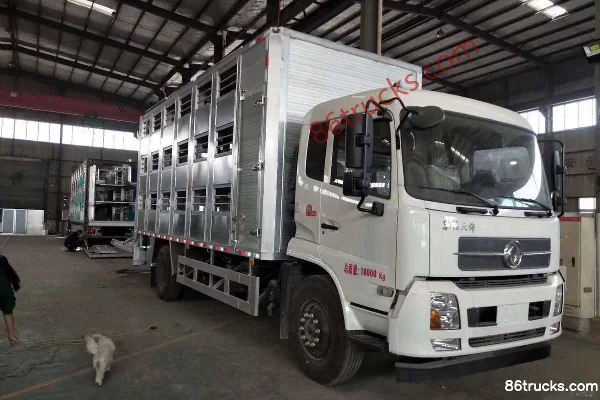 Dongfeng Commercial Vehicle Tianjin VR 210hp 4X2(6 wheels) 6.55m Livestock Transport Truck (China VI) (Chengliwei Brand)